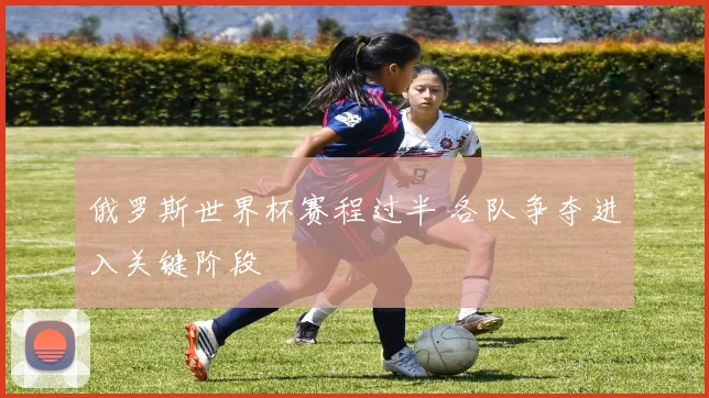俄罗斯世界杯赛程过半 各队争夺进入关键阶段