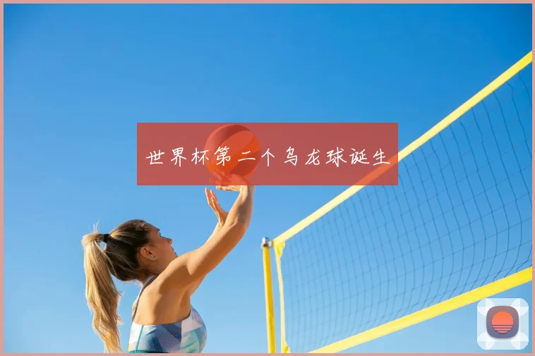 世界杯第二个乌龙球诞生